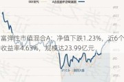 国富弹性市值混合A：净值下跌1.23%，近6个月收益率4.63%，规模达23.99亿元