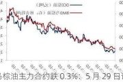 马棕油主力合约跌 0.3%：5 月 29 日讯