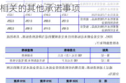 六九一二:发行人及其他责任主体作出的与发行人本次发行上市相关的其他承诺事项