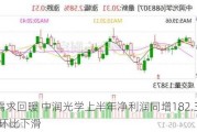 市场需求回暖 中润光学上半年净利润同增182.33% 但Q2环比下滑