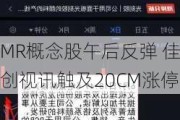 MR概念股午后反弹 佳创视讯触及20CM涨停