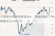 贝莱德中国新视野混合A：净值微增0.17%，规模达22.43亿元