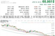 力量发展现涨超3% 预期上半年纯利同比增长逾80%