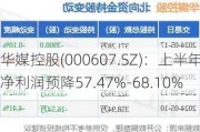 华媒控股(000607.SZ)：上半年净利润预降57.47%-68.10%