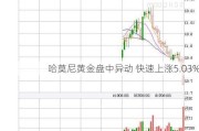 哈莫尼黄金盘中异动 快速上涨5.03%