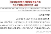 销量同比暴跌20.4%，北汽蓝谷上半年亏损25.71亿元