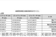 股票市场中的公司财报：关键财务指标分析