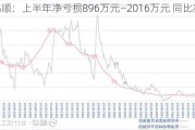 金鸿顺：上半年净亏损896万元―2016万元 同比减亏