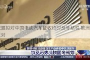 欧盟拟对中国电动汽车征收临时反补贴税 欧洲多国反对