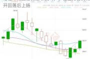 伦铅冲高回落微涨 0.25%，沪铅主力合约高开回落后上扬