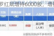 比亚迪高管罗红斌增持6000股，增持金额146.77万元