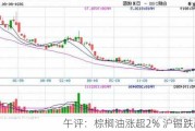 午评：棕榈油涨超2% 沪锡跌超2%