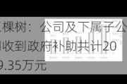 三棵树：公司及下属子公司收到***补助共计2059.35万元