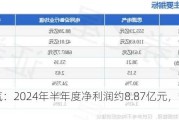 思源电气：2024年半年度净利润约8.87亿元，同比增加26.64%