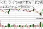 德美化工：公司与德阳塔拉另一股东南京百斯杰均以现金方式出资德阳塔拉