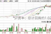 *ST贤丰：总计回购约1.02亿股