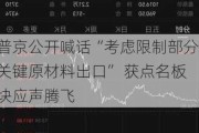 普京公开喊话“考虑限制部分关键原材料出口” 获点名板块应声腾飞