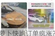 萝卜快跑订单疯涨？Robotaxi商业化提速， 会取代网约车吗？