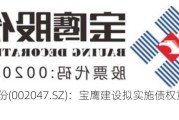 宝鹰股份(002047.SZ)：宝鹰建设拟实施债权重组事项