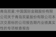 青岛双星:中国国际金融股份有限公司关于青岛双星股份有限公司本次交易标的公司报告期内业绩真实性的专项核查报告