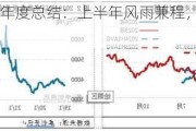 热轧板卷半年度总结：上半年风雨兼程，下半年或柳暗花明