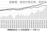 碳酸锂：期货价格反弹，现货市场冷清