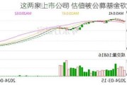 这两家上市公司 估值被公募基金砍至0元