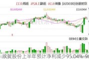 欣贺股份上半年预计净利减少95.04%-96.14%