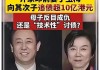 许家印的“特别恶劣”与普华永道的“信誉尽失”