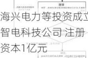 海兴电力等投资成立智电科技公司 注册资本1亿元