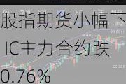 股指期货小幅下挫 IC主力合约跌0.76%