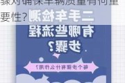 购买二手车时应该如何进行全面检测？这些检测步骤对确保车辆质量有何重要性？