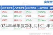 华谊集团：预计2024年半年度净利润比上年同期增长215.44%-305.57%