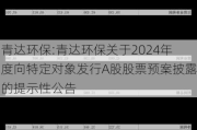 青达环保:青达环保关于2024年度向特定对象发行A股股票预案披露的提示性公告