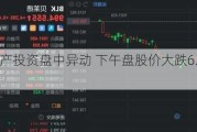 美国房地产投资盘中异动 下午盘股价大跌6.43%报13.37美元