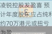 凌锐控股发盈喜 预计年度股东应占纯利约70万港元或扭亏为盈