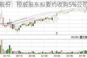 恒通股份：控股股东拟要约收购5%公司股份