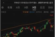 丽翔教育盘中异动 下午盘股价大跌5.39%