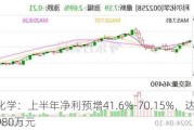 联合化学：上半年净利预增41.6%-70.15%，达2480万-2980万元