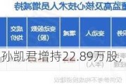 罗曼股份董事孙凯君增持22.89万股，增持金额474.74万元