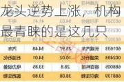 世界上首次实现，陶瓷拉伸形变量可达39.9%！2只概念龙头逆势上涨，机构最青睐的是这几只