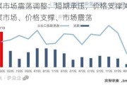 炼焦煤市场震荡调整：短期承压，价格支撑关键词：炼焦煤市场、价格支撑、市场震荡