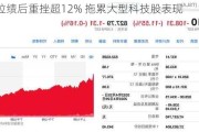 特斯拉绩后重挫超12% 拖累大型科技股表现