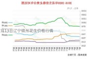 7月13日辽宁锦州花生价格行情