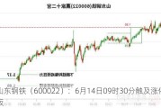 山东钢铁（600022）：6月14日09时30分触及涨停板