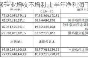 合盛硅业增收不增利 上半年净利润下滑超45%