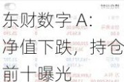 东财数字 A：净值下跌，持仓前十曝光