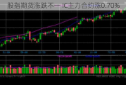 股指期货涨跌不一 IC主力合约涨0.70%