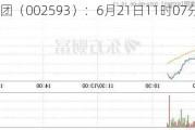 日上集团（002593）：6月21日11时07分触及涨停板