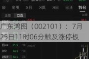 广东鸿图（002101）：7月25日11时06分触及涨停板